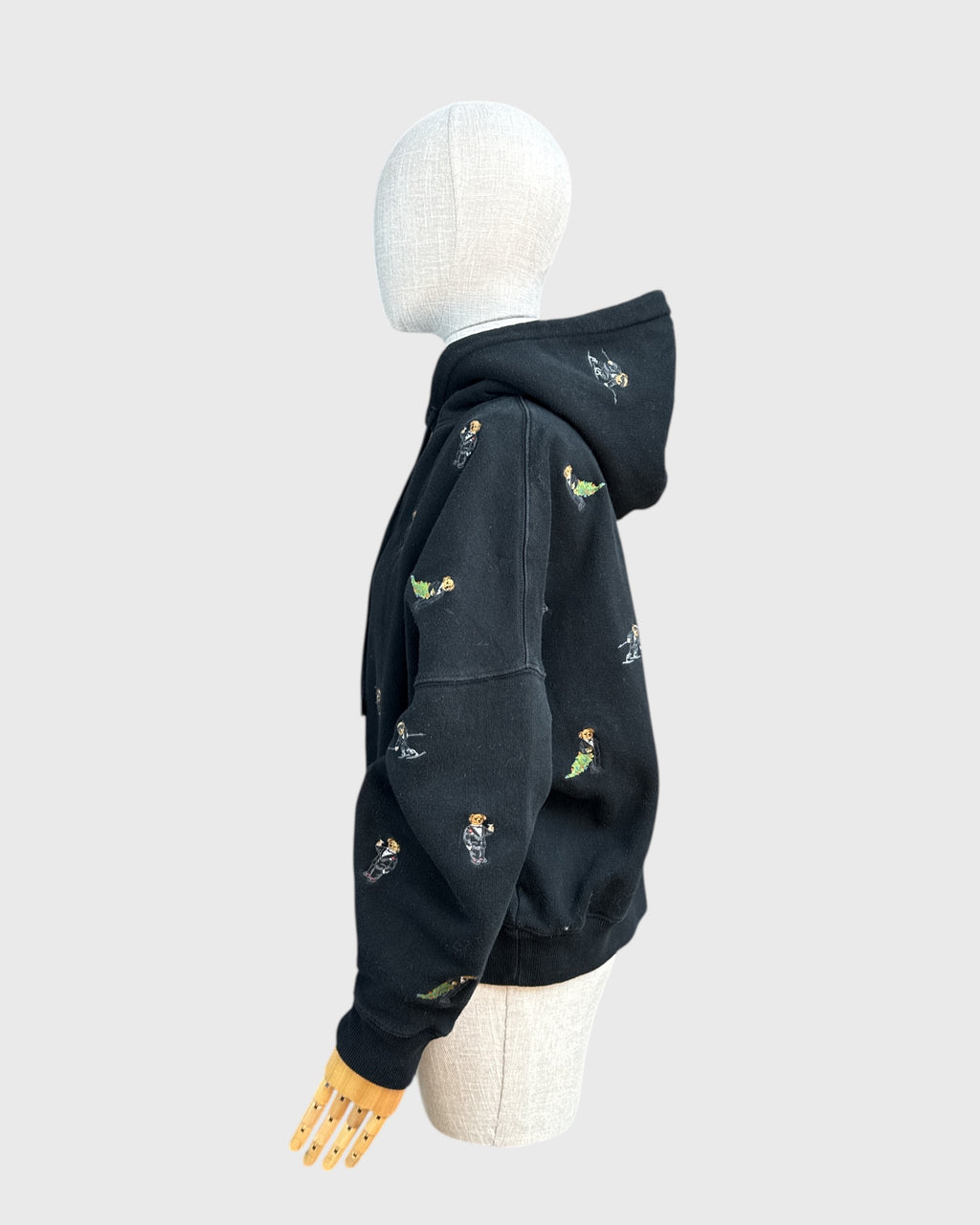 Polo Ralph Lauren hoodie, M